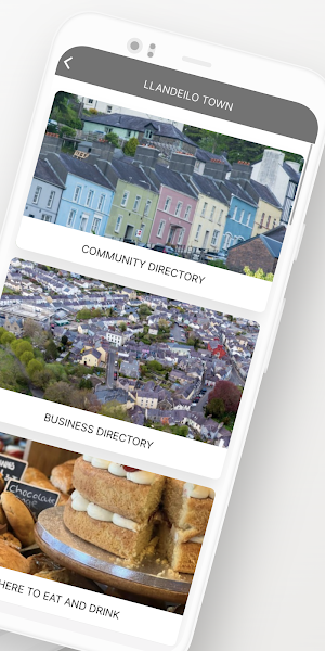 Llandeilo Town Screenshot 1