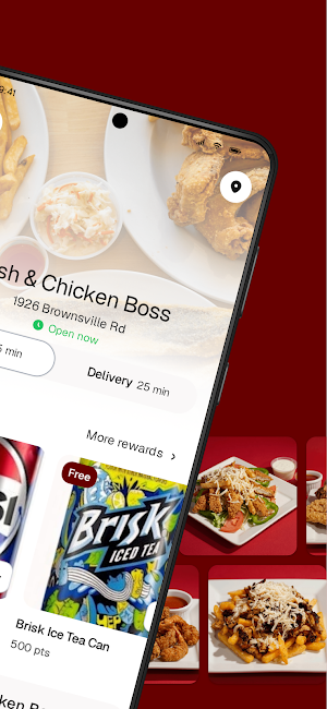 Fish & Chicken Boss Screenshot 1