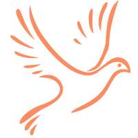 Live Free Love Life