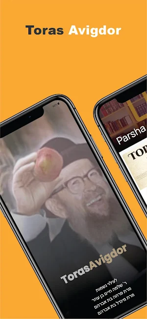 Toras Avigdor Miller screenshot 1