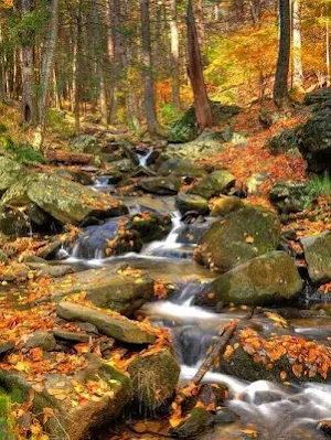 Pennsylvania Wallpaper HD Screenshot 1