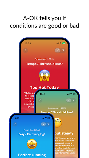 A-OK: Ok to exercise outdoors? Screenshot 0