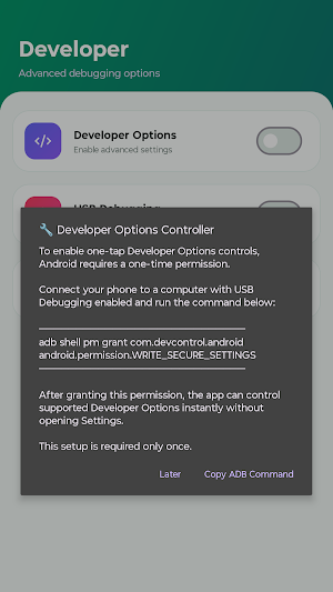 Dev Control: Developer Options Screenshot 2