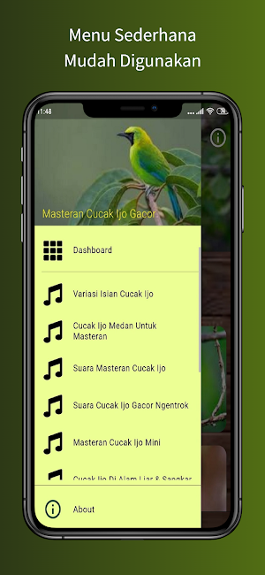 Cucak Ijo Gacor Ngentrok Screenshot 0