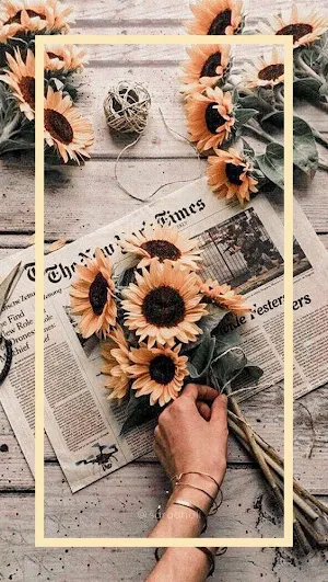 Aesthetic Wallpapers Screenshot 0