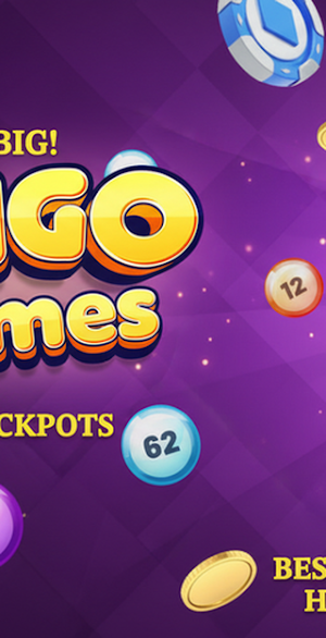 Bingo Games Screenshot 1