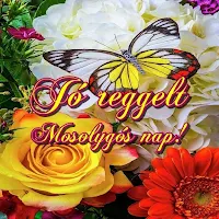 Jó reggelt