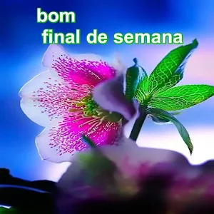 Bom final de semana Screenshot 3