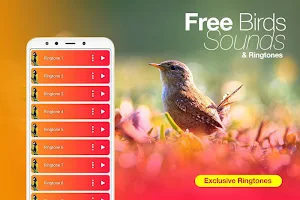 Best Bird Sounds, Calls & Ringtones Screenshot 0