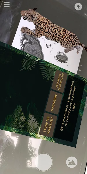 Arcas AR Screenshot 1