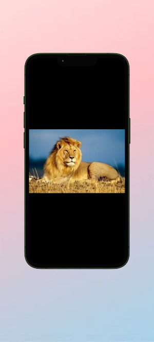 Singa WalL Screenshot 2