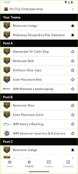 TeamLinkt Tournaments Screenshot 2
