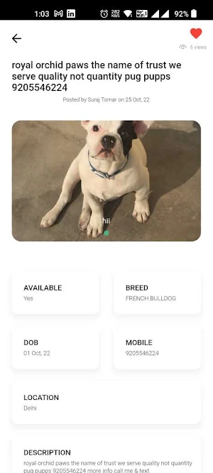 Alldogs.in Screenshot 1