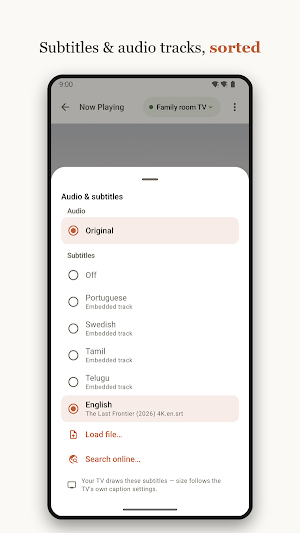 BubbleCast: Cast to TV & DLNA Screenshot 2