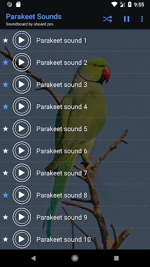 Parakeet Sounds ~ Sboard.pro Screenshot 3