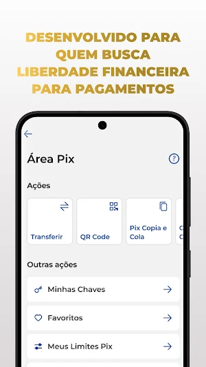 Paystar Screenshot 2