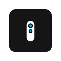 Onn Roku TV Remote