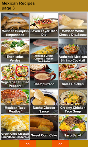 Mexican Recipes Screenshot 2