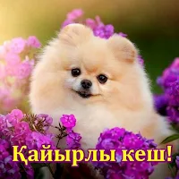 Қайырлы кеш Қайырлы түн