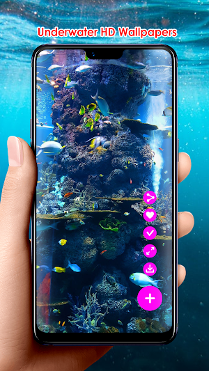 Underwater HD Wallpapers Screenshot 2