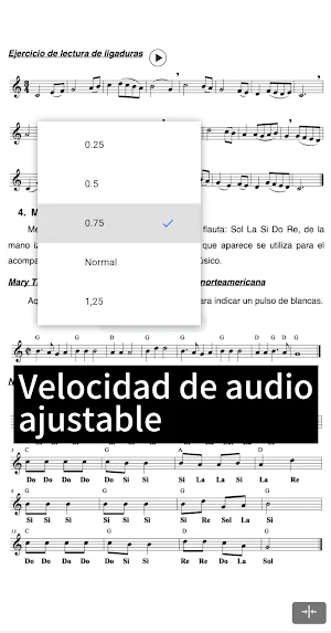 Metodo de Flauta Dulce LITE Screenshot 2