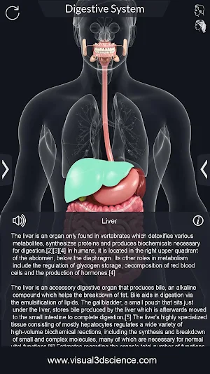 Digestive System Screenshot 3