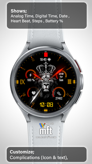 LION MFT WF 13 Screenshot 1
