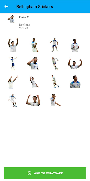 Bellingham Stickers Screenshot 1
