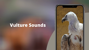 Vulture Sounds Screenshot 0