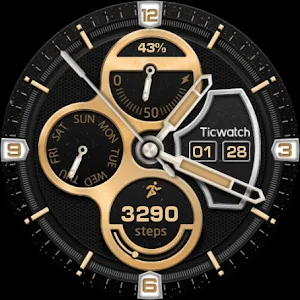 TicWatch Gold Wing Screenshot 0