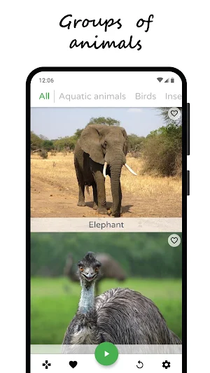 Animal Sounds - The sounds of animals Screenshot 3