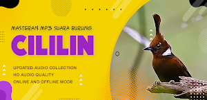 Suara Masteran Burung Cililin Screenshot 1