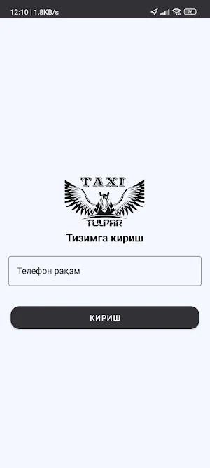 Tulpor Taxi Driver Screenshot 1