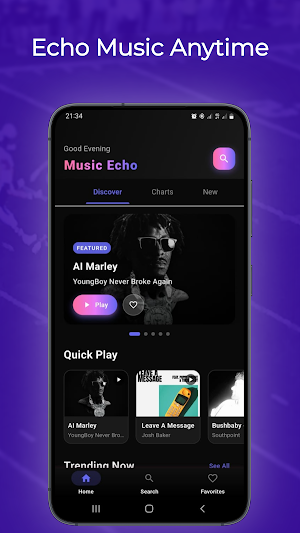 Music Echo - Echo Music Screenshot 2