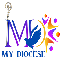 My Diocese