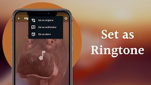 Hippopotamus Sounds Screenshot 3