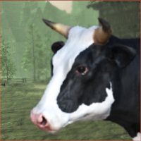 Cower