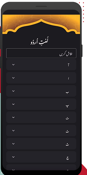 Lughat e Urdu Screenshot 0