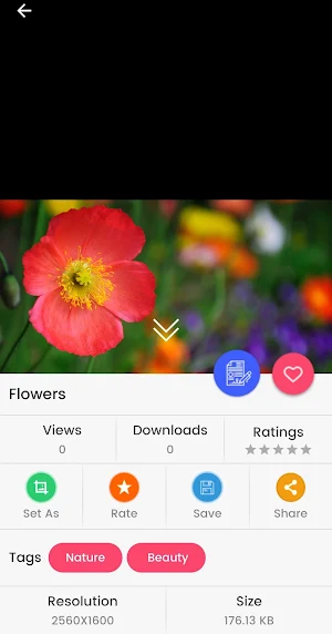 10000 HD Wallpapers Screenshot 2