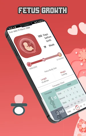 Pregnancy App: Fetus Growth Screenshot 0