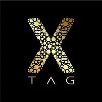 X TAG: Digital Business Cards