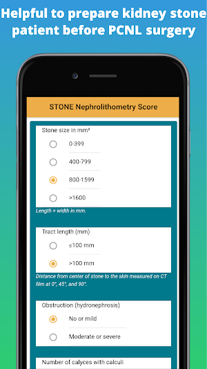 Kidney Stone Scoring Screenshot 1