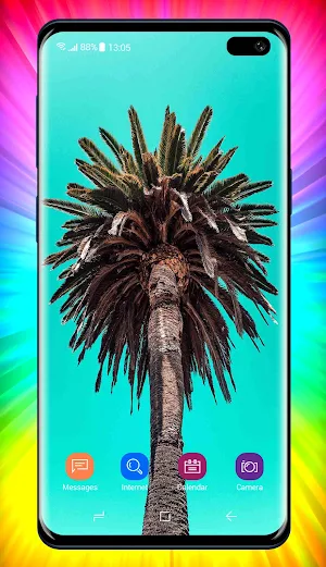 Palm Tree Wallpapers Screenshot 3
