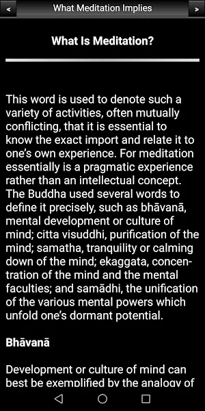 What Meditation Implies Screenshot 2