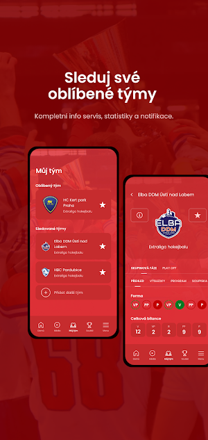 Hokejbal Screenshot 0