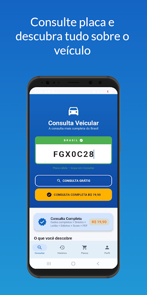 Consulta Veicular Screenshot 0