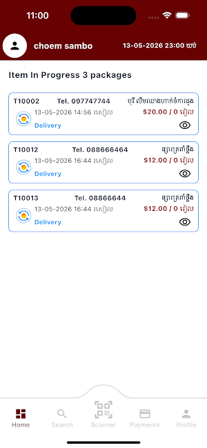 Toro Express Screenshot 3