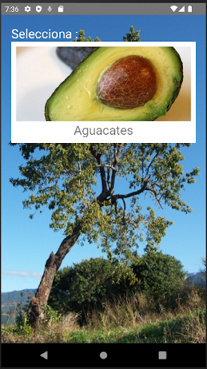 Rompecabezas de Aguacates Screenshot 0