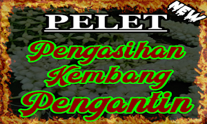 Mantra Pengasihan Kembang Pengantin Segala Pelet Screenshot 1