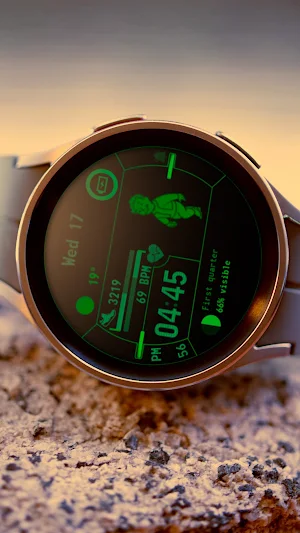 Pip-Boy Luxsank (Fallout) Screenshot 2